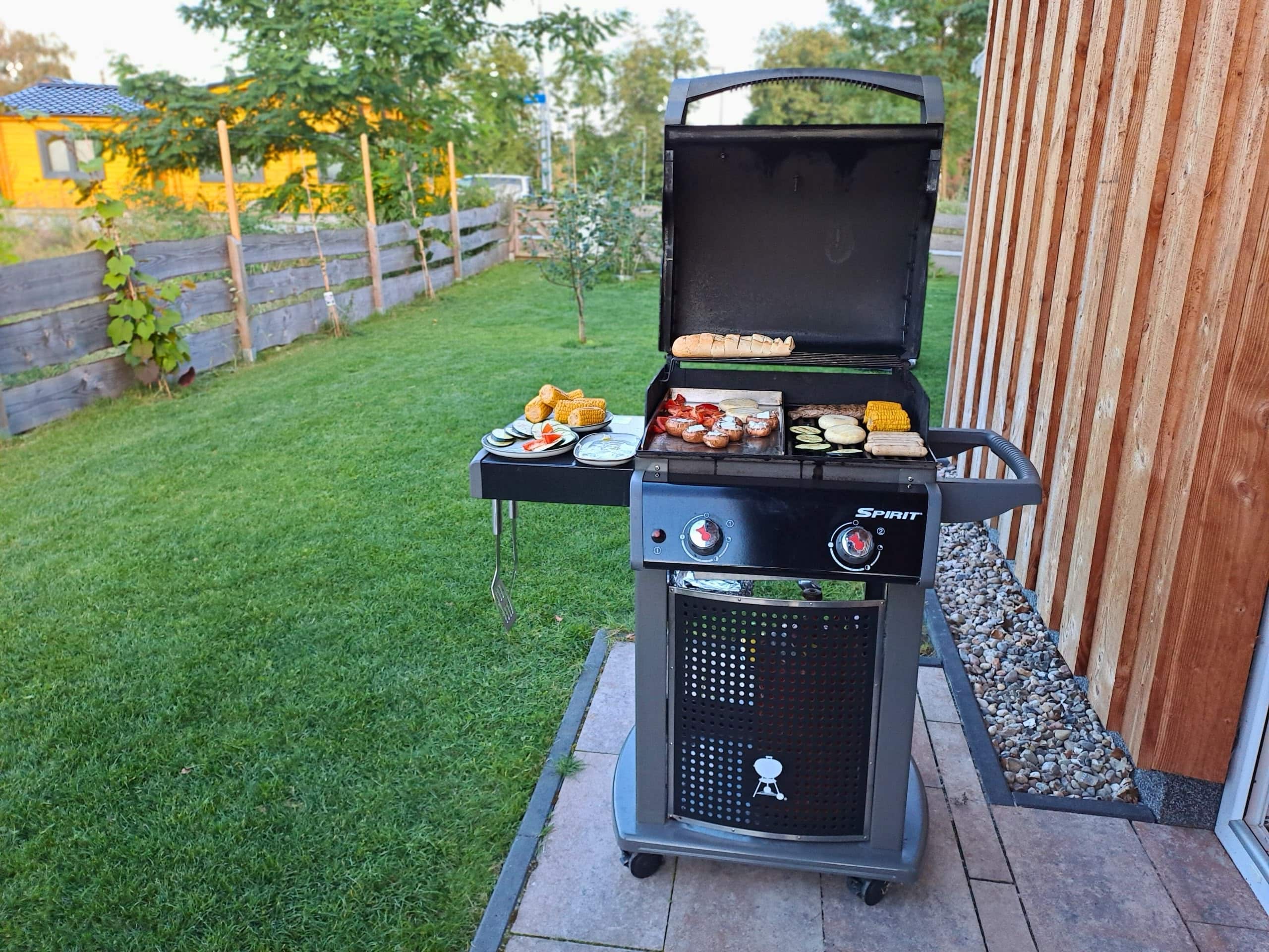 Haus am Seeufer 35 Haus am Seeufer Weber Gasgrill