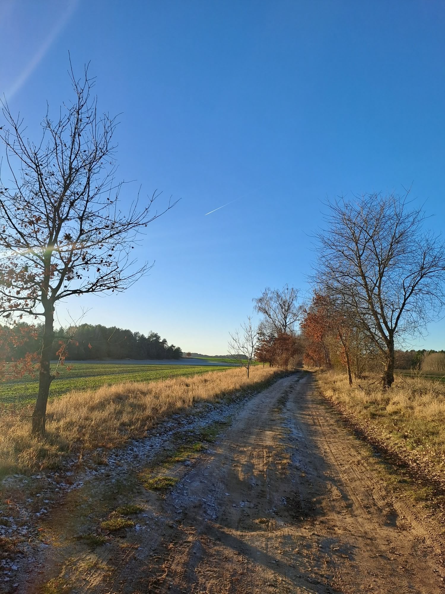 Haus am Seeufer Natur