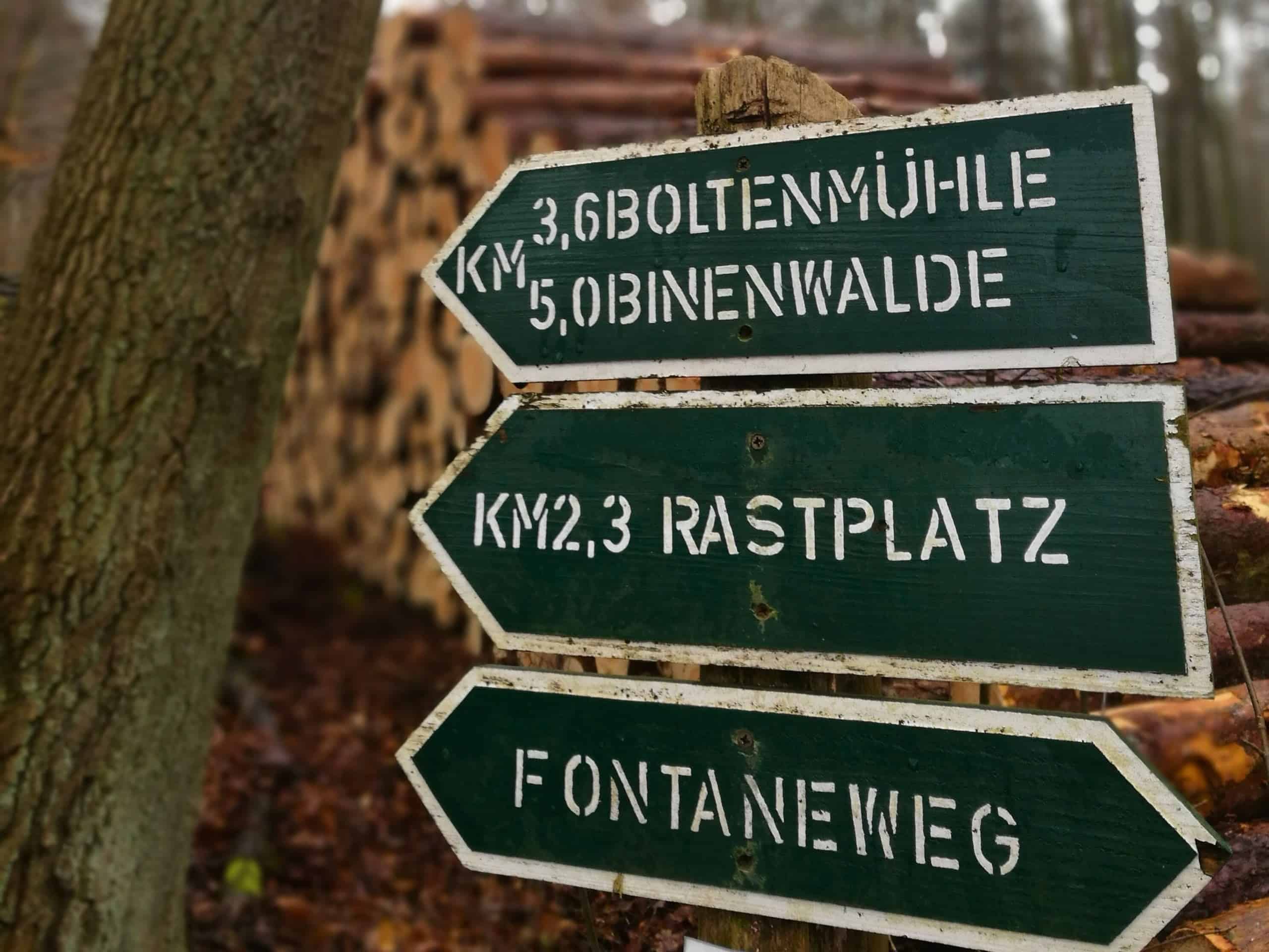 Haus am Seeufer 38 Wandern Haus am Seeufer